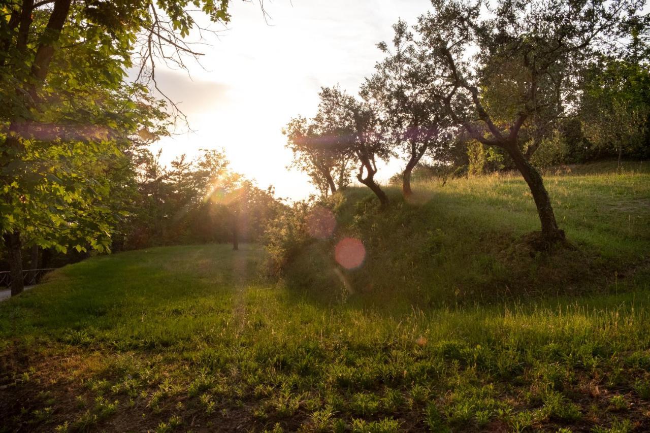 Agriturismo Le Cerque Collazzone Exterior foto